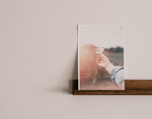 annie-spratt-t2DpicMmWKQ-unsplash